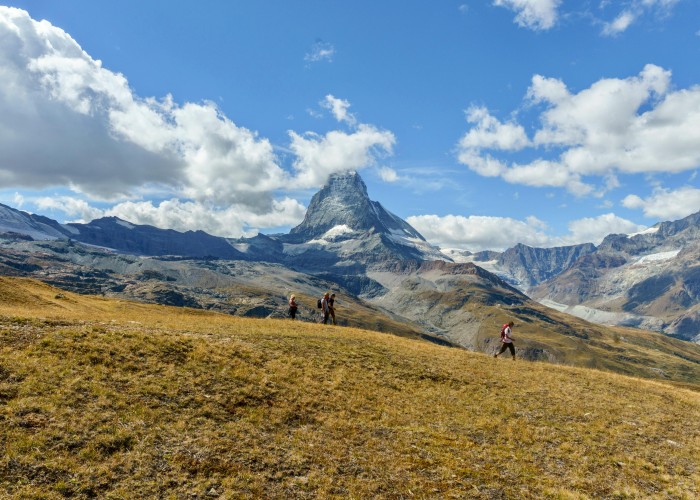 1759506703-pexels-suju-15910160 (2).jpg